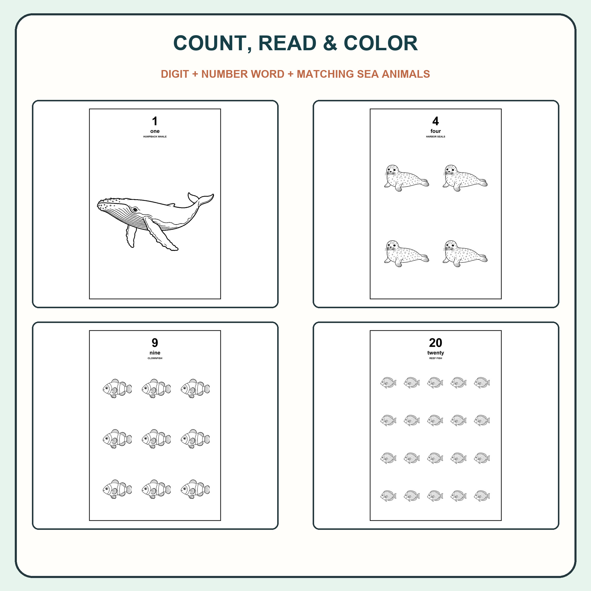 Four corrected ocean number pages with exact matching animal counts.