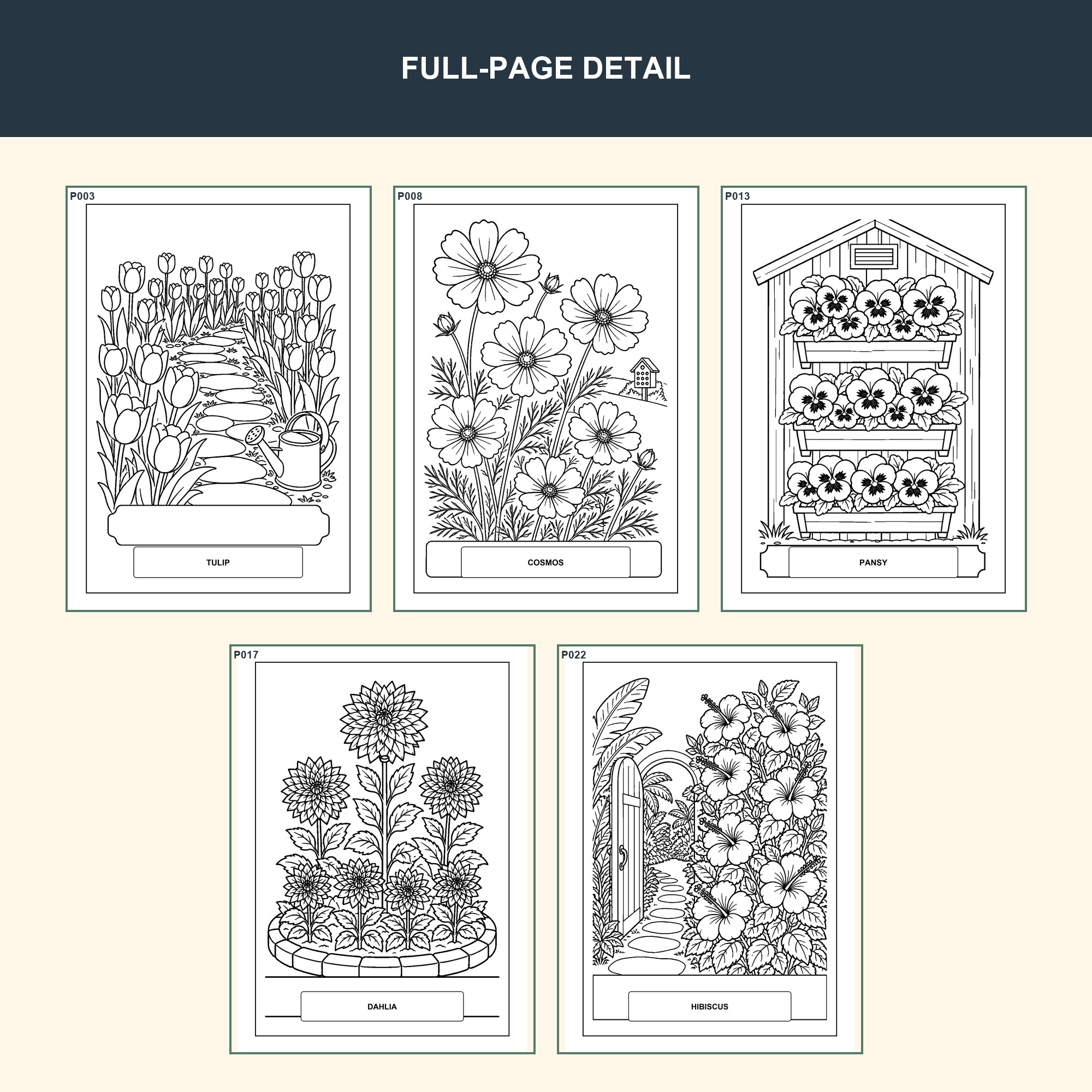 Five full-page flower samples showing bold black outlines and large coloring spaces.